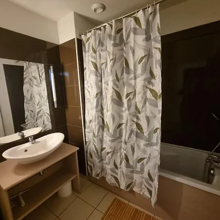 Duplex Avec Piscine Et Sauna Apartment *